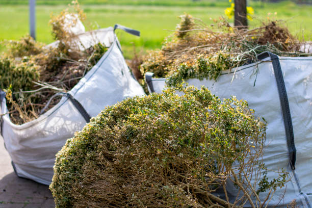 Best Yard Waste Removal  in Mckinley, PA